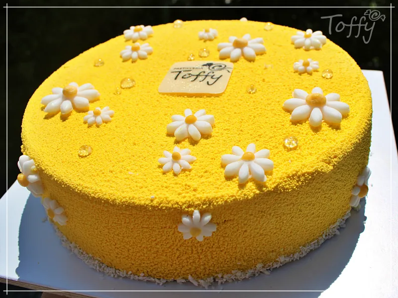 cocos_cake Coco's Cake